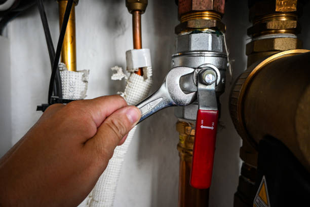 Best Plumbing Inspection Services  in , TN